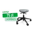 Stołek ergonomiczny Leitz Ergo Active, balansujący