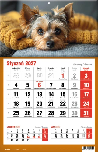 Kalendarz ścienny jednodzielny, Avanti 