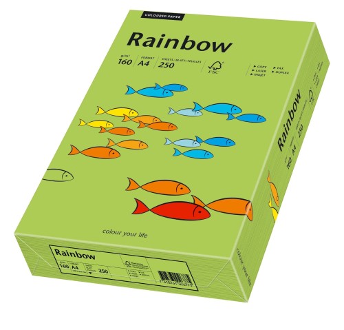 Papier kolorowy Rainbow A-4 160g/m², 250 arkuszy, zielony (R76)