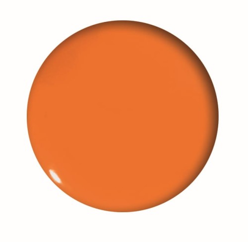 Magnesy do tablic Tetis 20mm 6 sztuk pomarańczowe